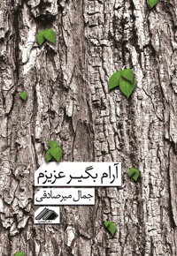 آرام بگیر عزیزم